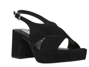 Steve Madden: Marino in Black Suede